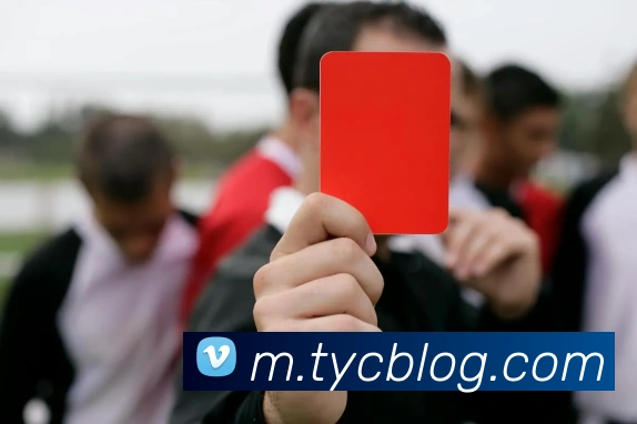 太阳城网站APP 封面图